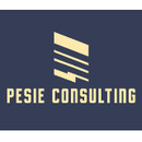 Logo Pesie Consulting in Osnabrück